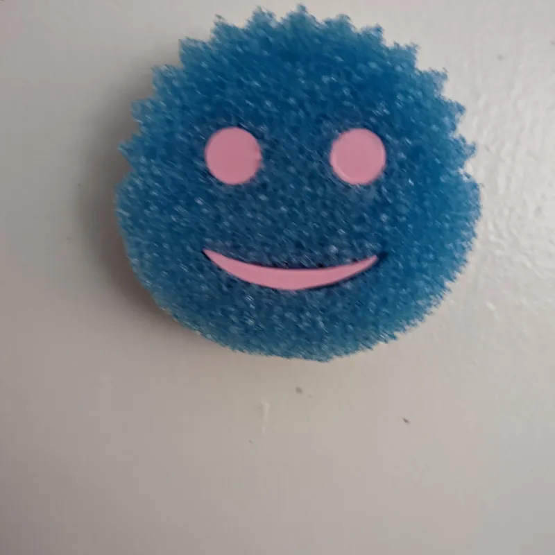 SCRUB DADDY HOLDER by at0maly, Download free STL model
