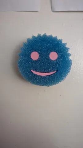 SCRUB DADDY HOLDER