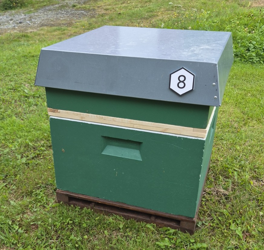 Blank hive label - magnetic, screw or glue