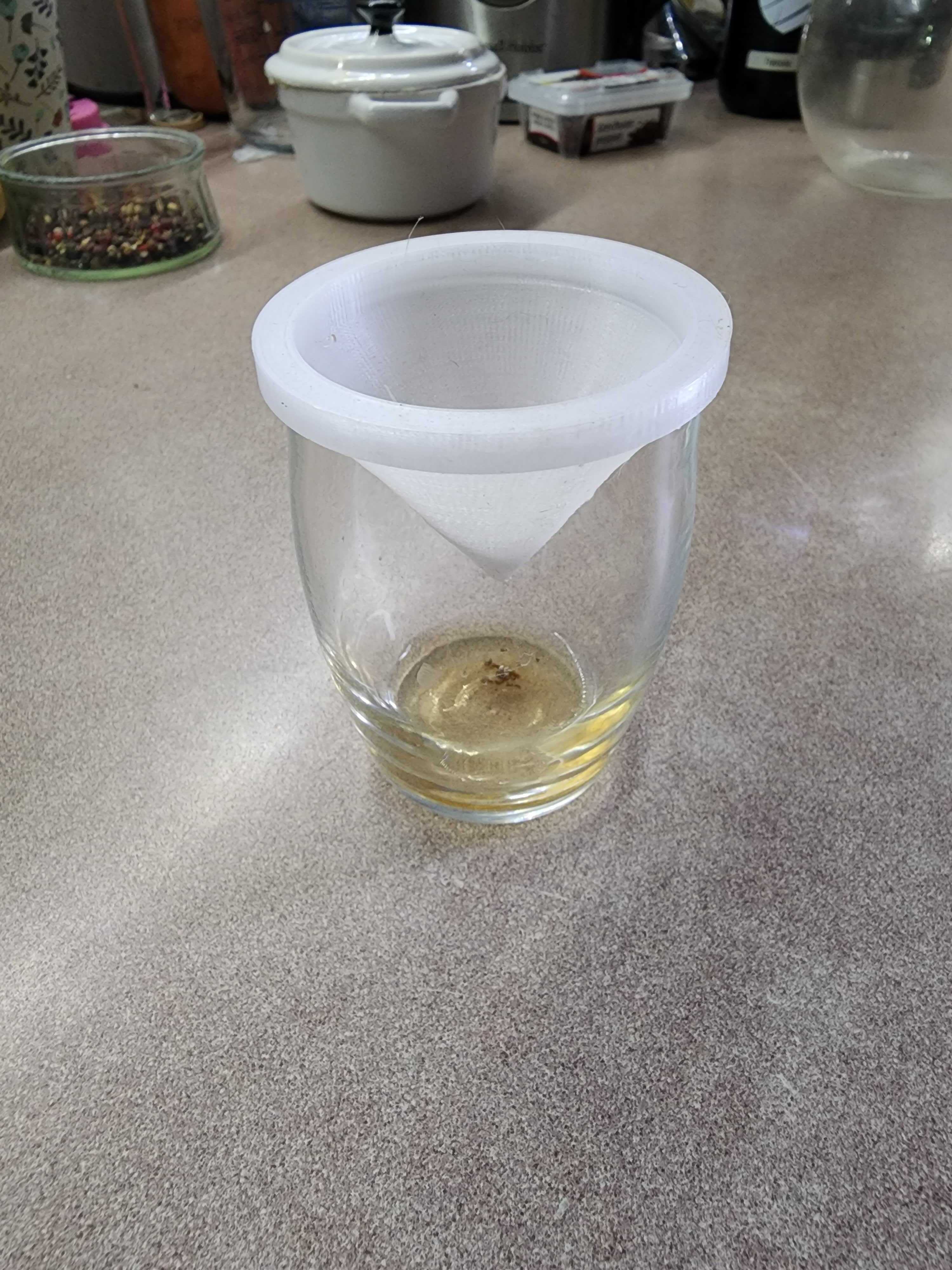 Fly Catcher