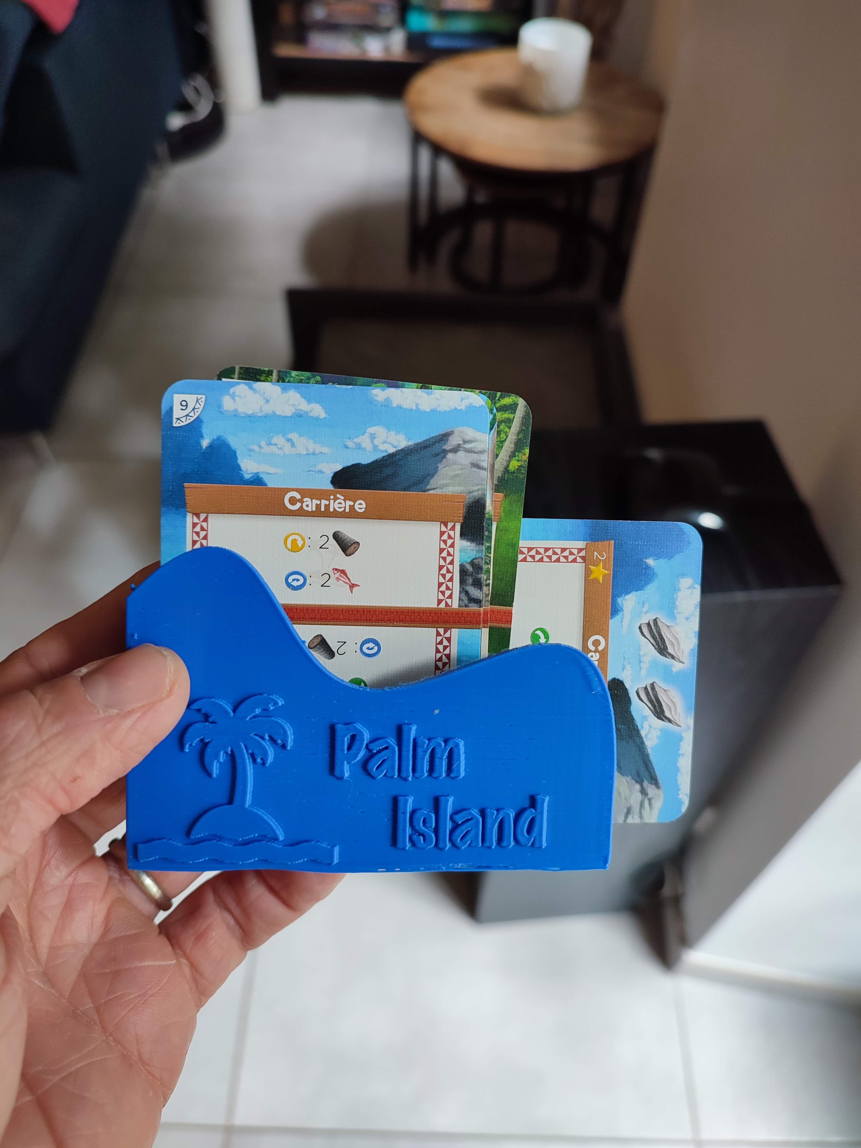 Palm Island card holder