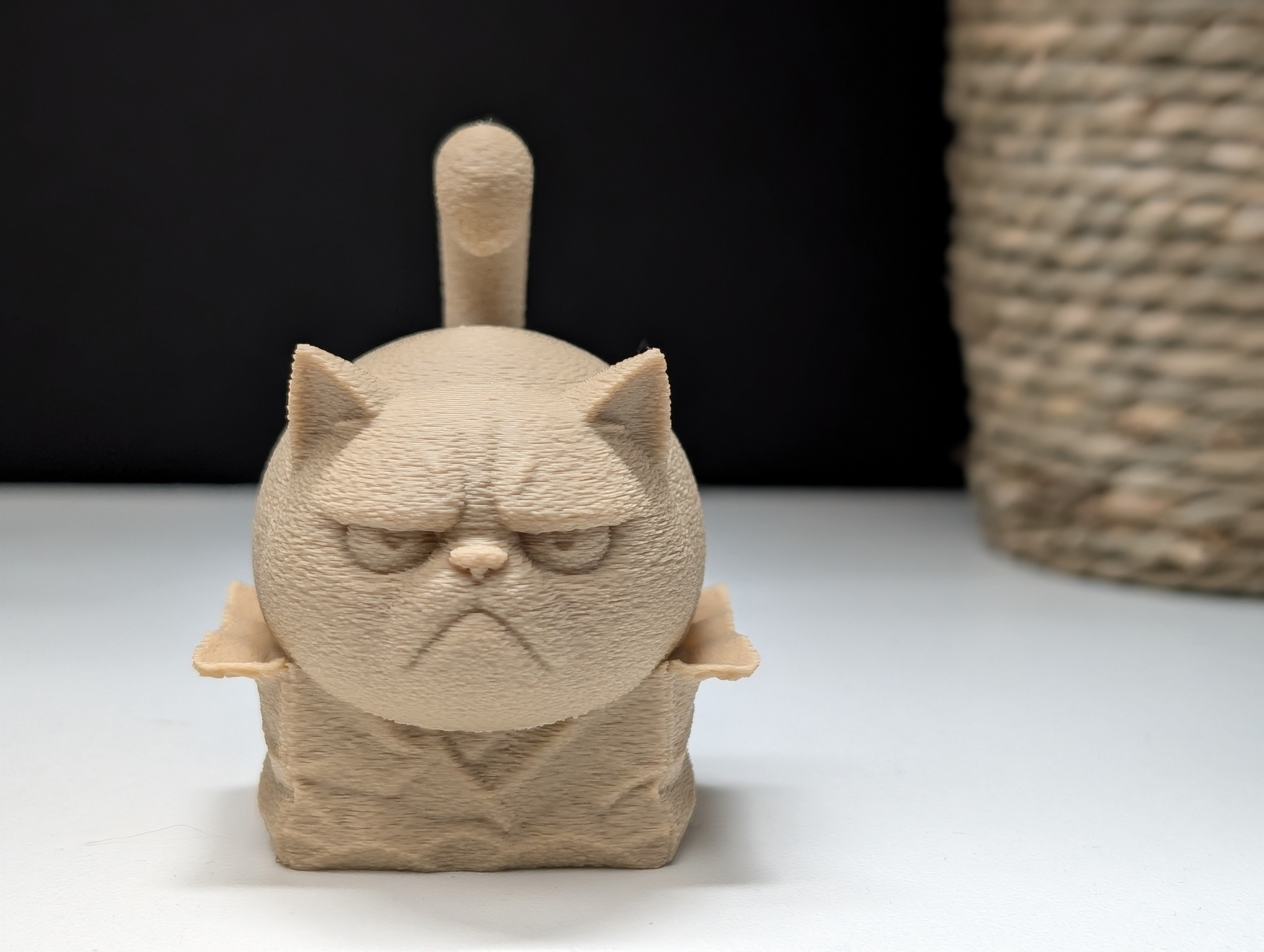 Miniatura 2 do modelo 3D Grumpy Cat "in" a Box