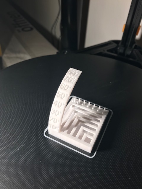 Mini Printer Test (Overhang, Bridge and String)