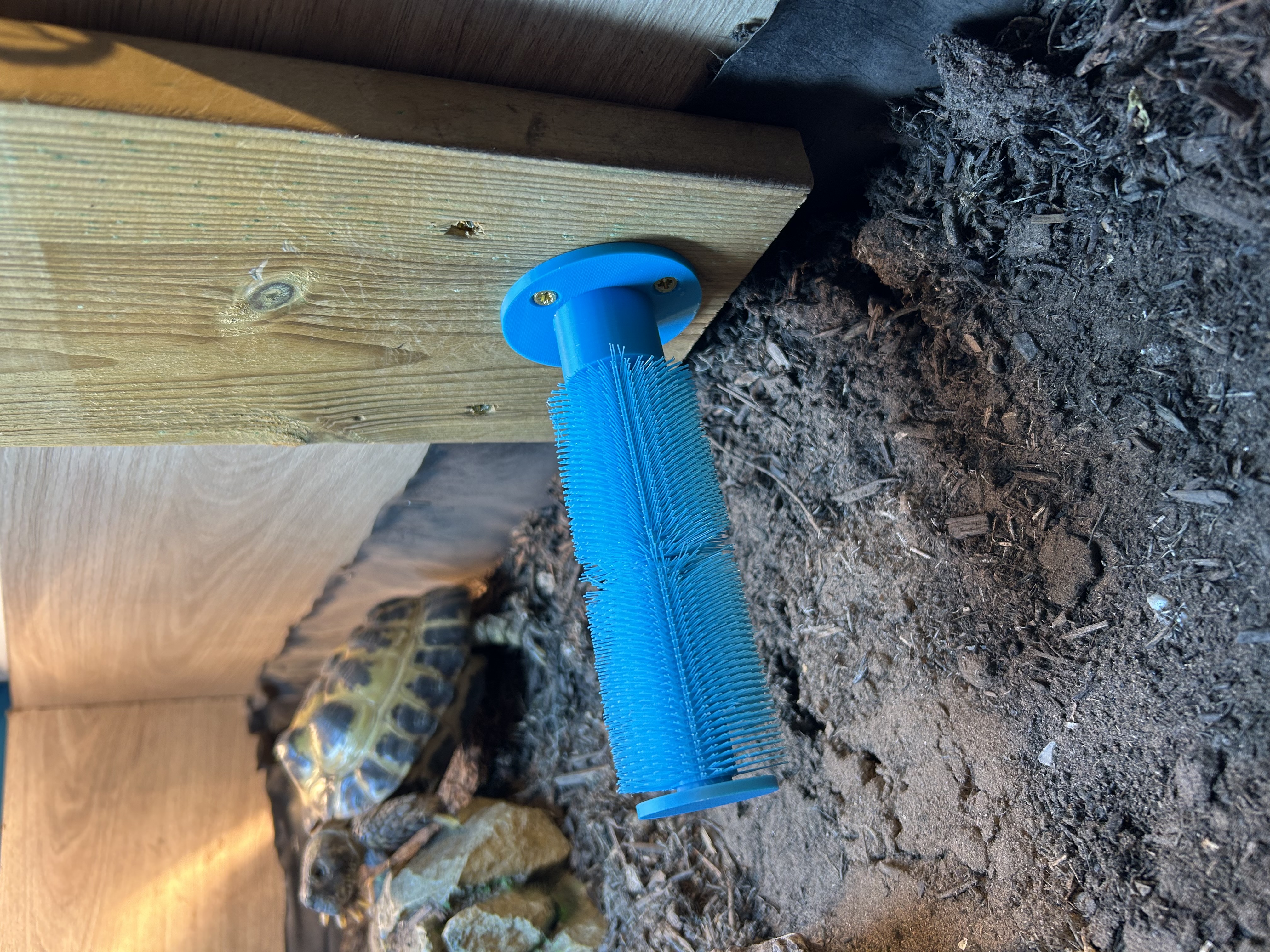 Shell scratcher — miniatura 3