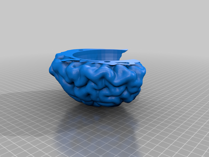 Miniatura 5 do modelo 3D Human Brain Magic 8 Ball