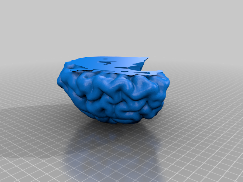 Miniatura 6 do modelo 3D Human Brain Magic 8 Ball