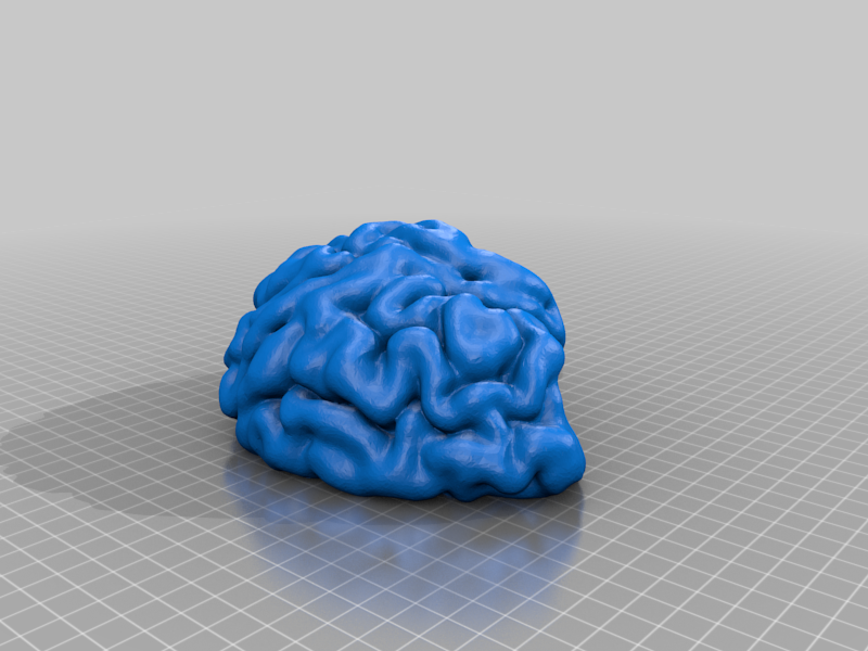 Miniatura 9 do modelo 3D Human Brain Magic 8 Ball