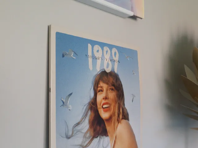 Vinyl record wall mount for command strip