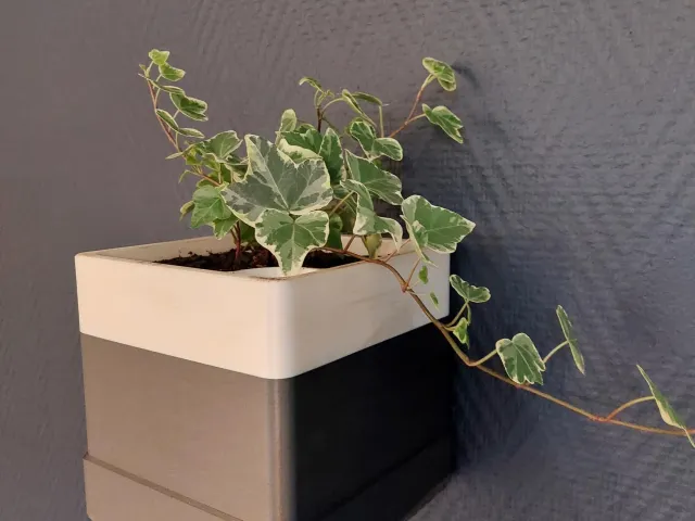 Wall Mounted (or not) Flower Pot / Pot de Fleur mural (ou pas)