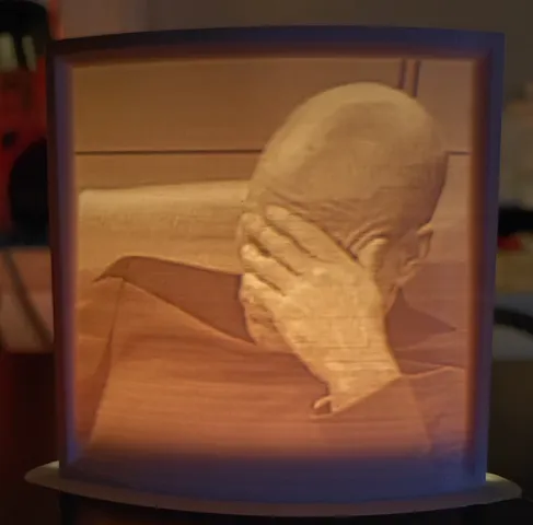 Picard Facepalm Lithophane