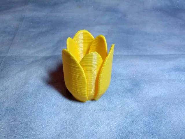 Simple Tulip