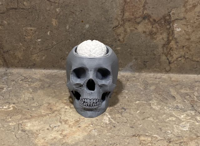 Action Skull with Bobblehead Brain