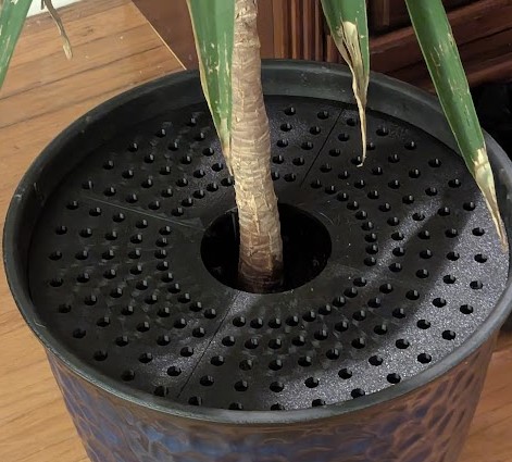 Potted Plant Cat Cover