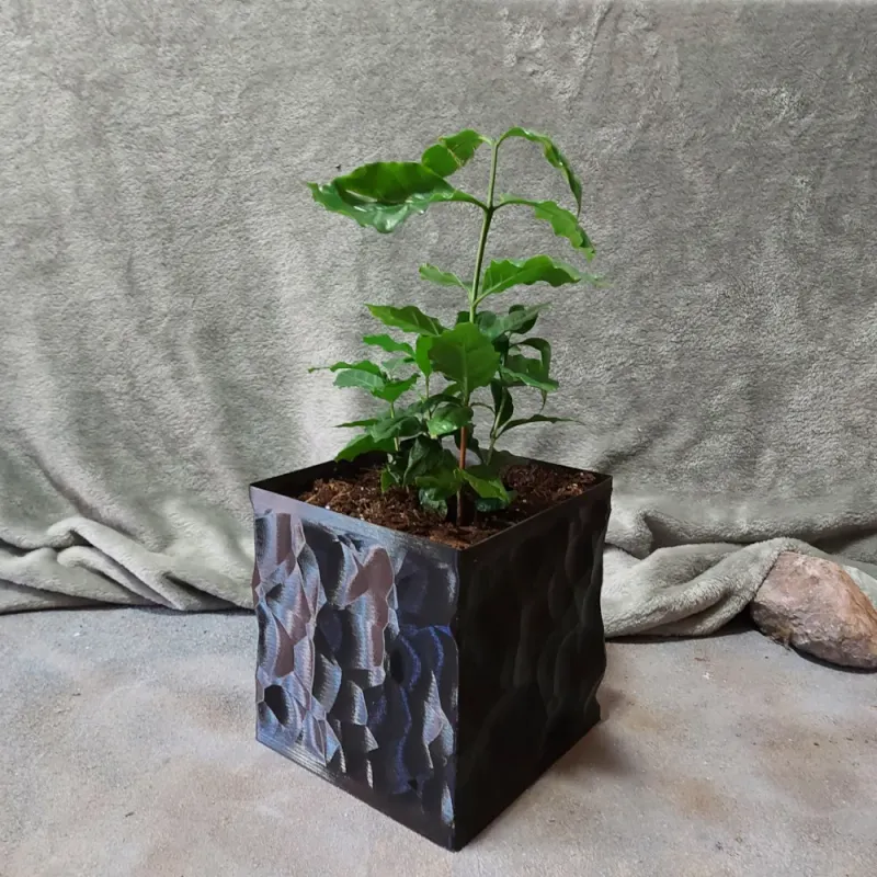 Square Vase Planter - Obsidian Style by Inside Jay's Skull, Download free  STL model