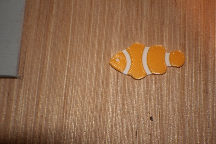 Clown Fish