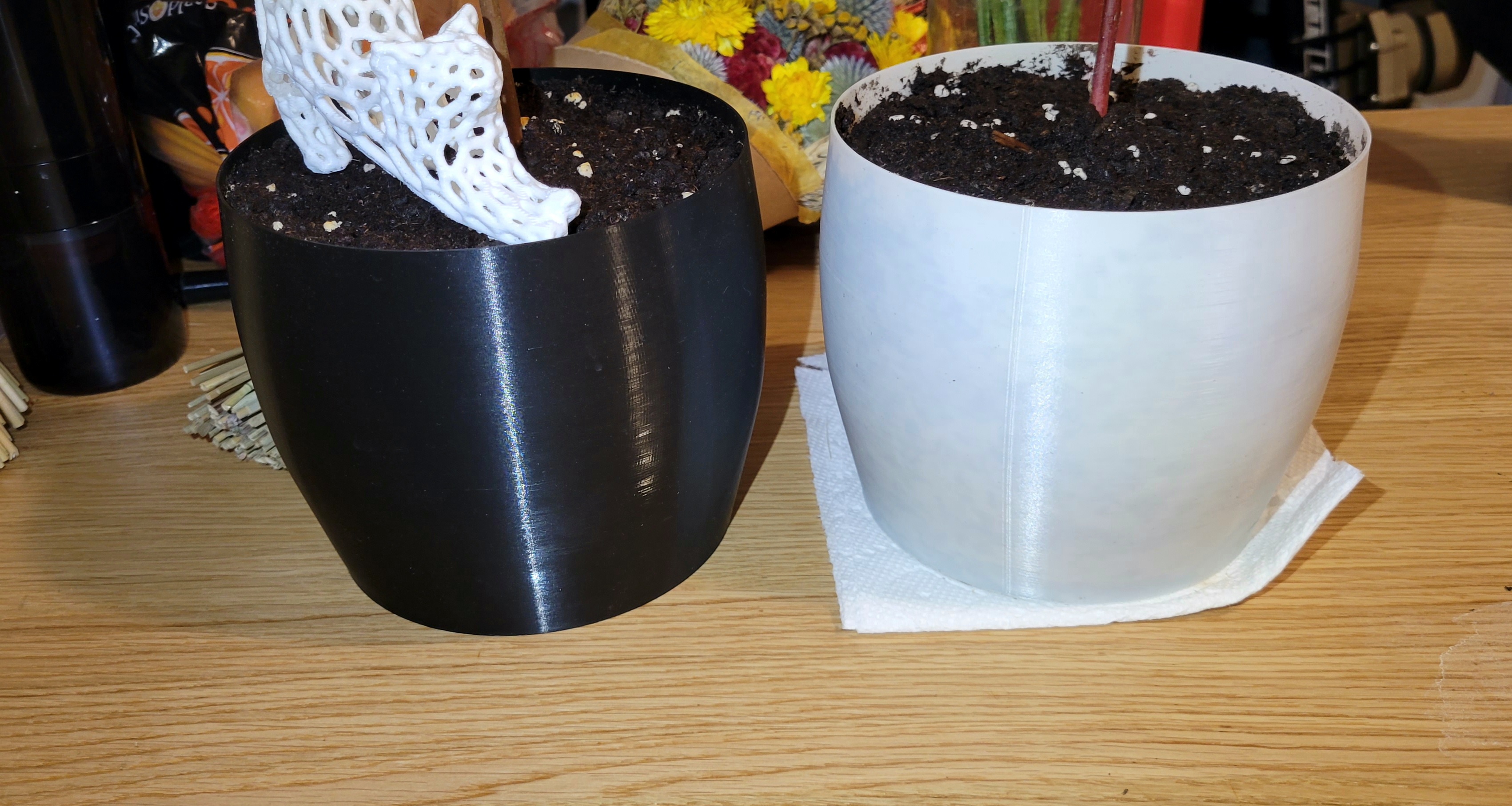 Plant Pot