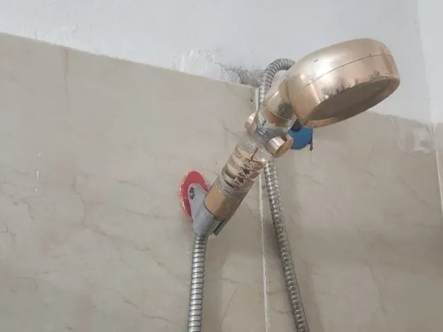 Shower head holder