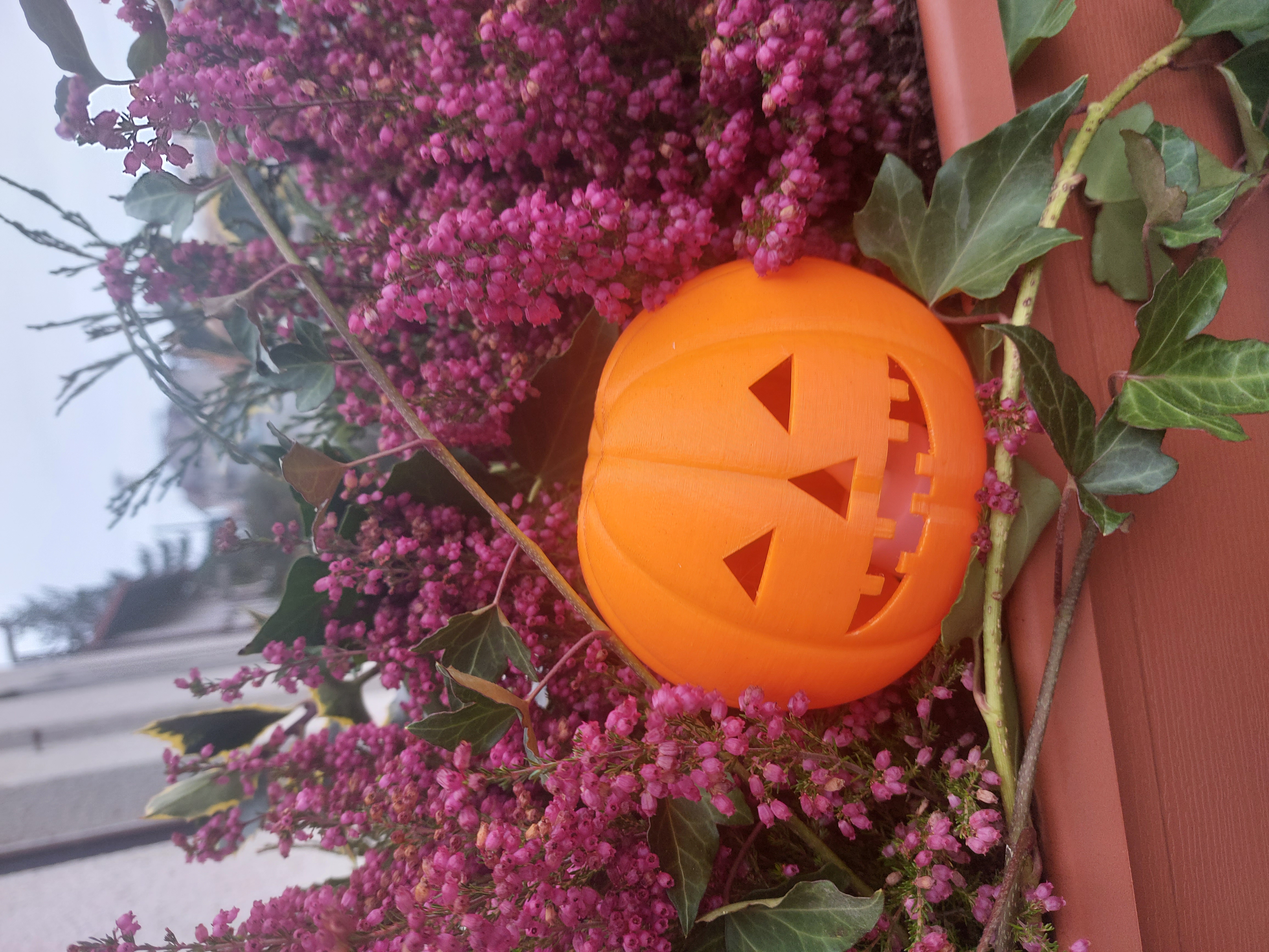 Haloween pumpkin