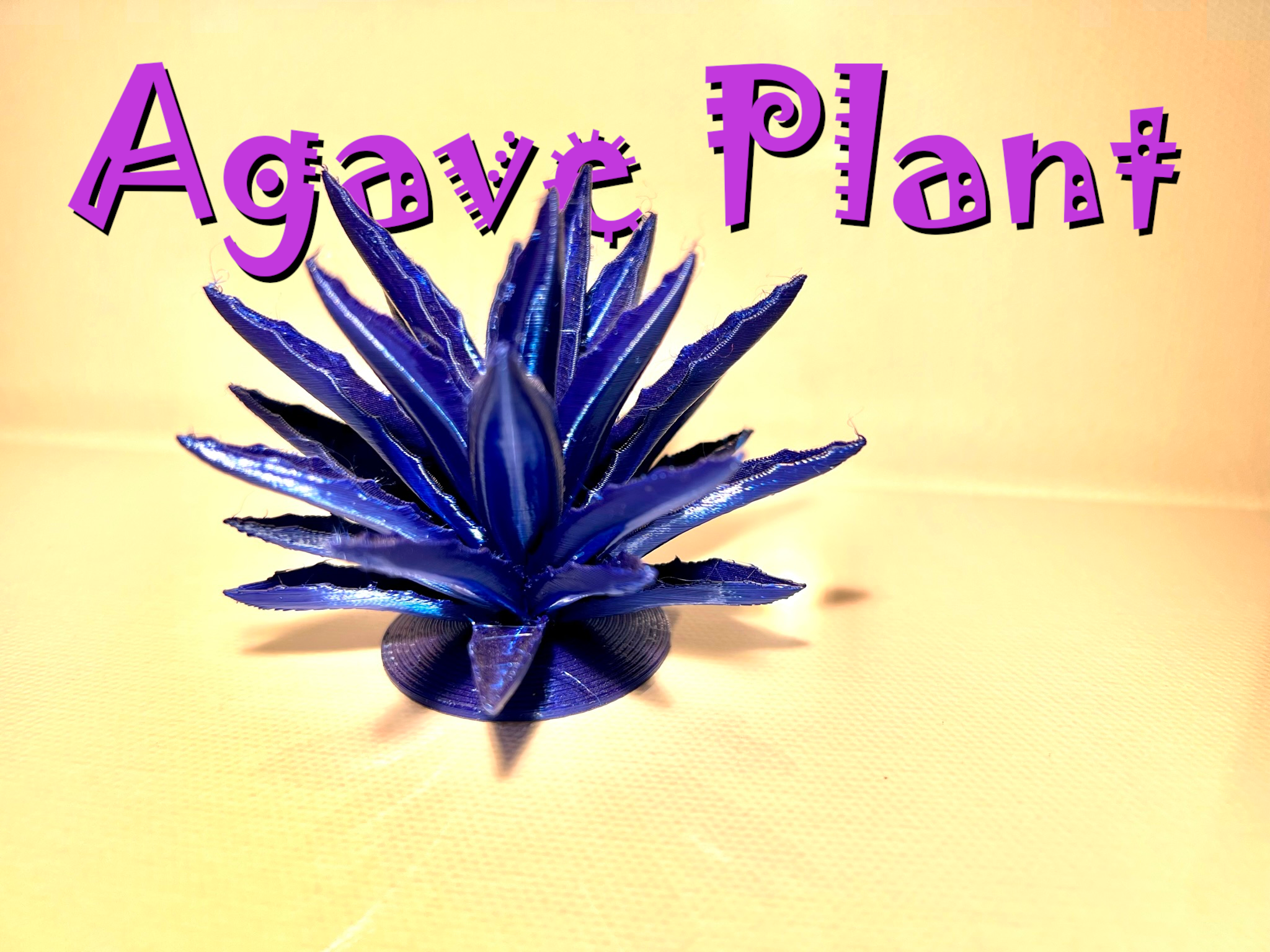 Agave Plant - (Tequila!)