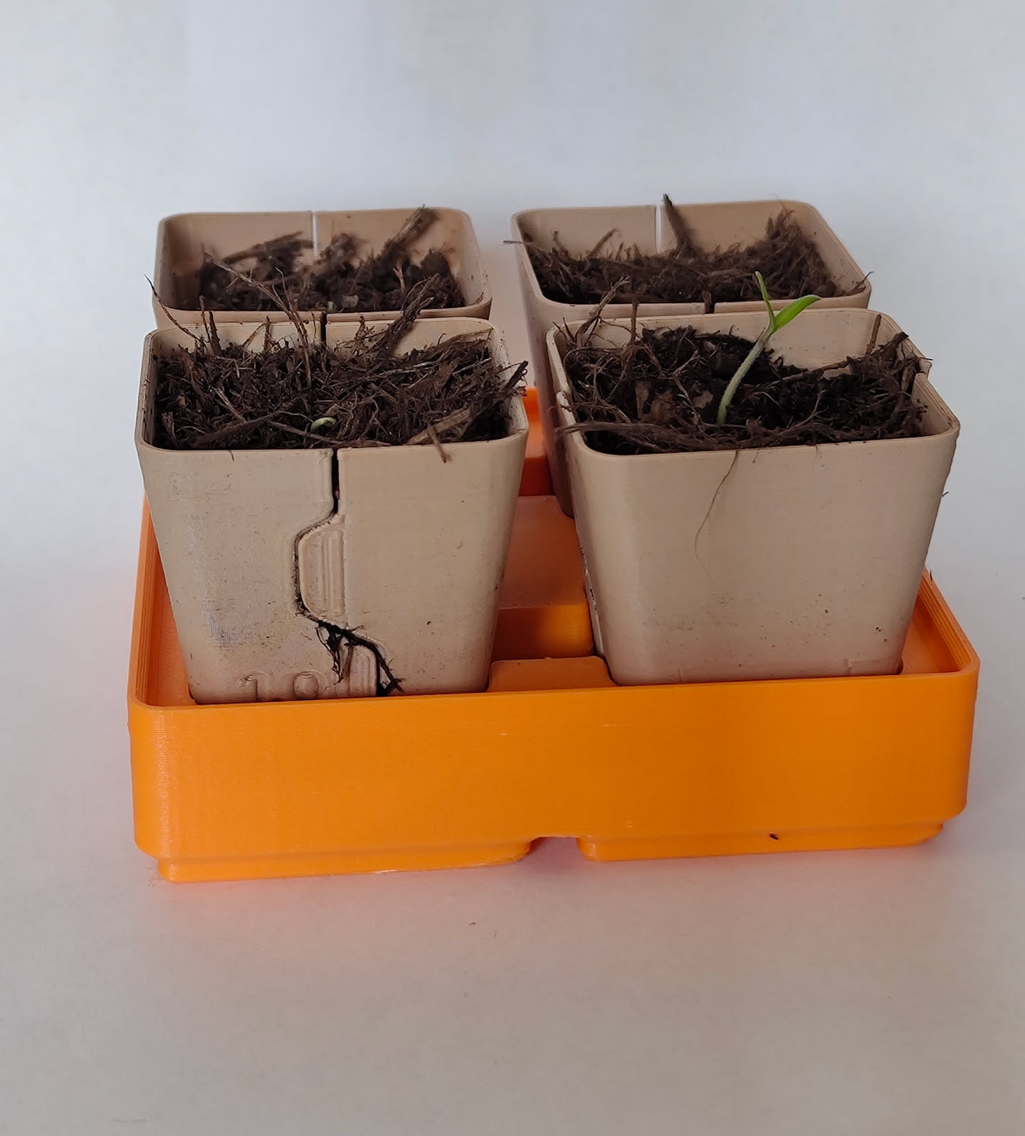 Gridfinity Compatible Splitting Germination Pots — miniatura 6