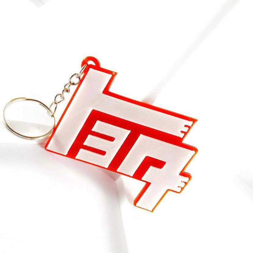 Toyota keychain