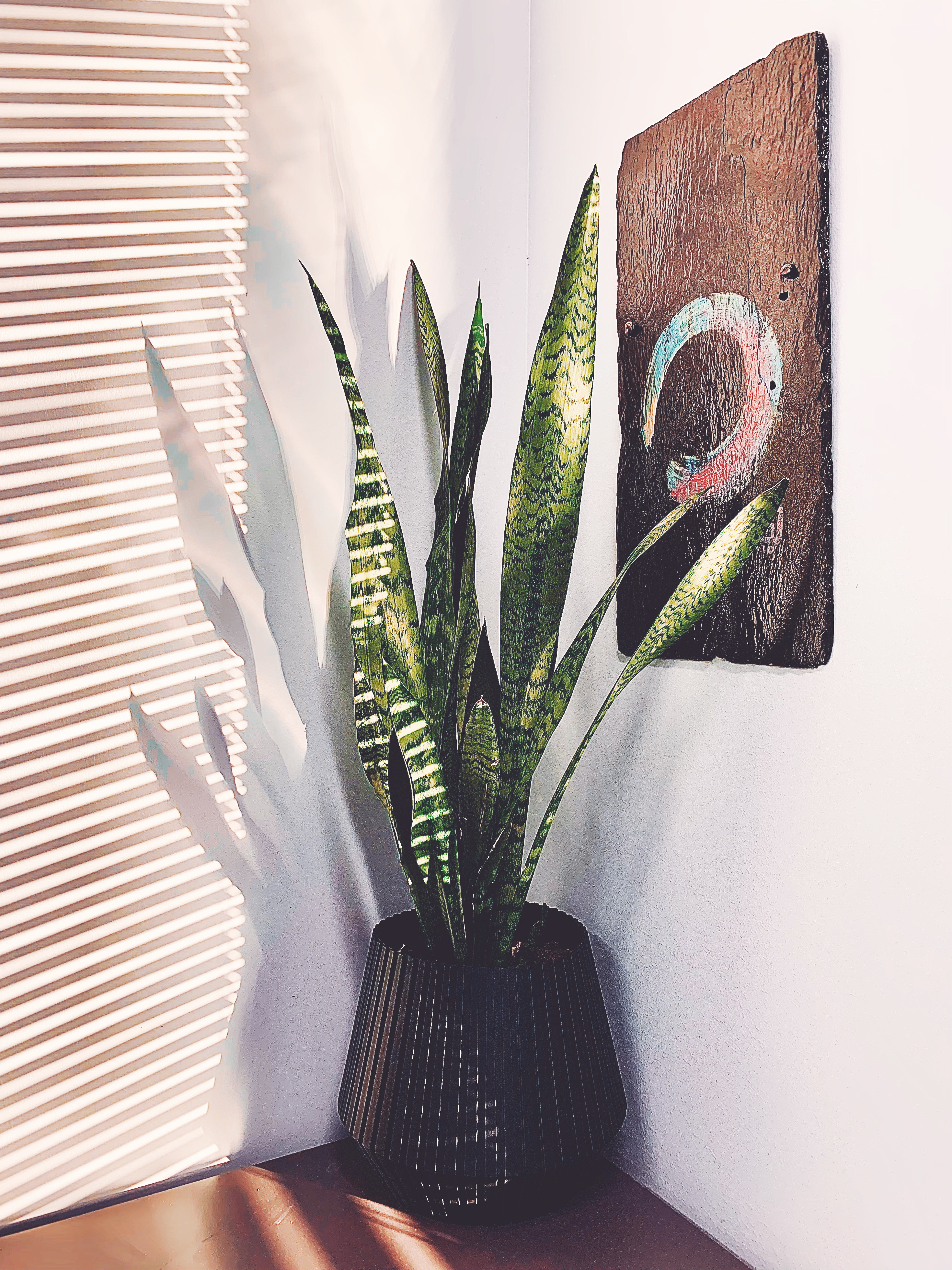 Plant Pot