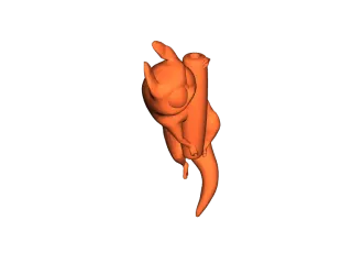 Rainworld Slugcat Keychain by Jonathan Quadlebomb | Download free STL ...