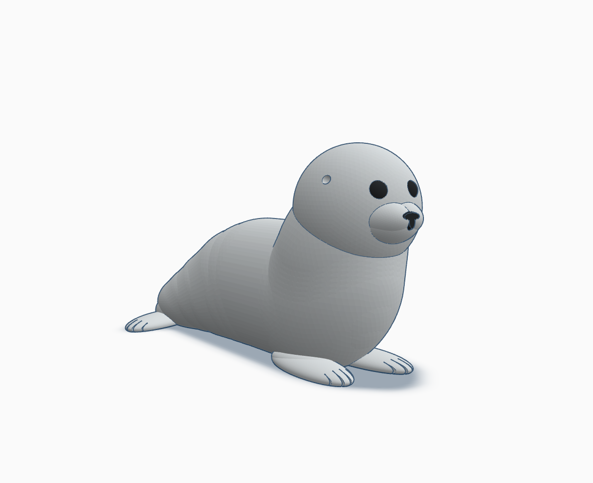 Cute Chubby Seal