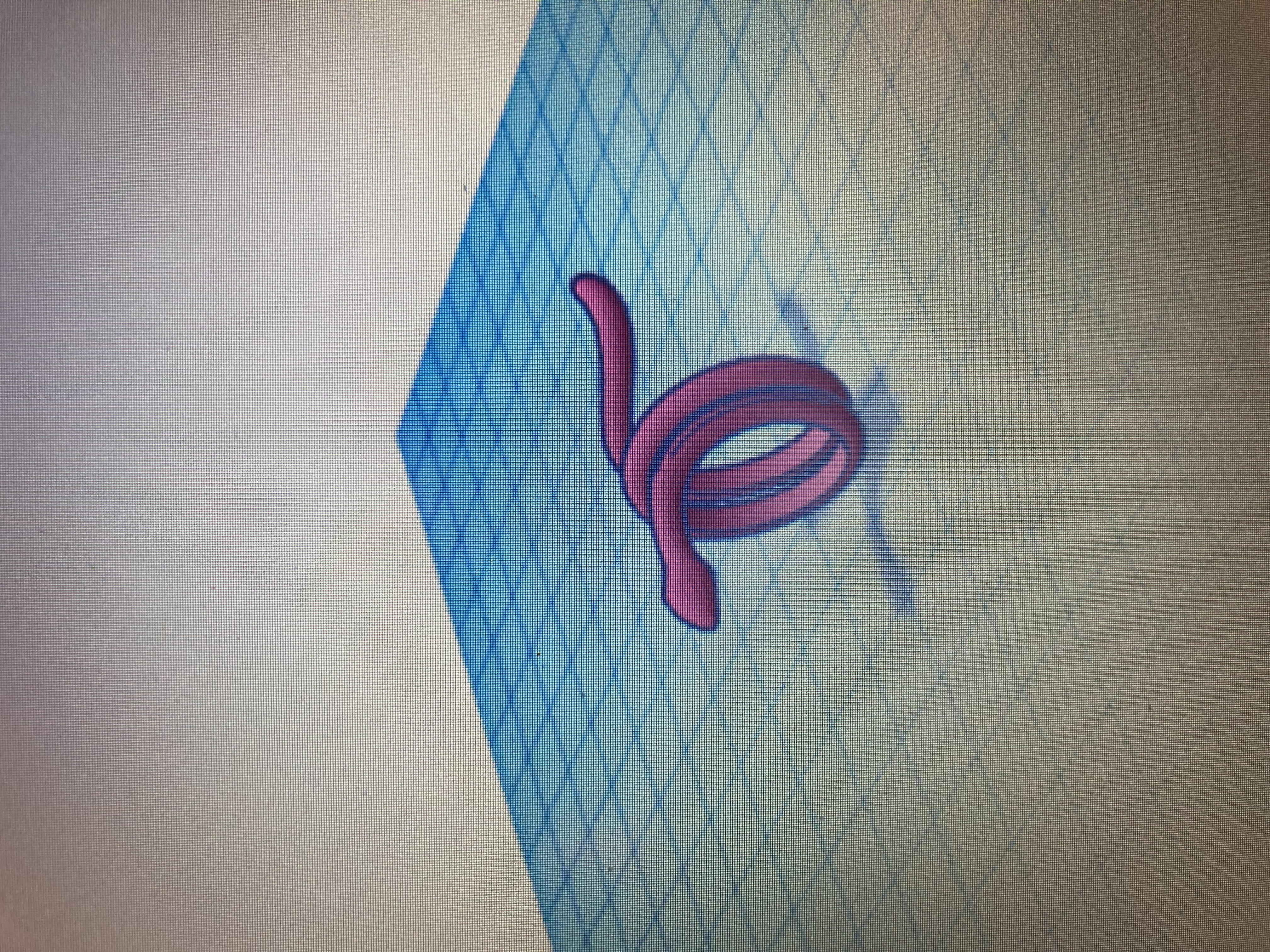 snake ring