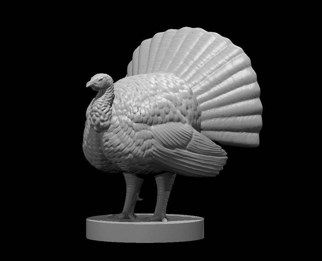 Danger Turkeys by MZ4250 Download free STL model