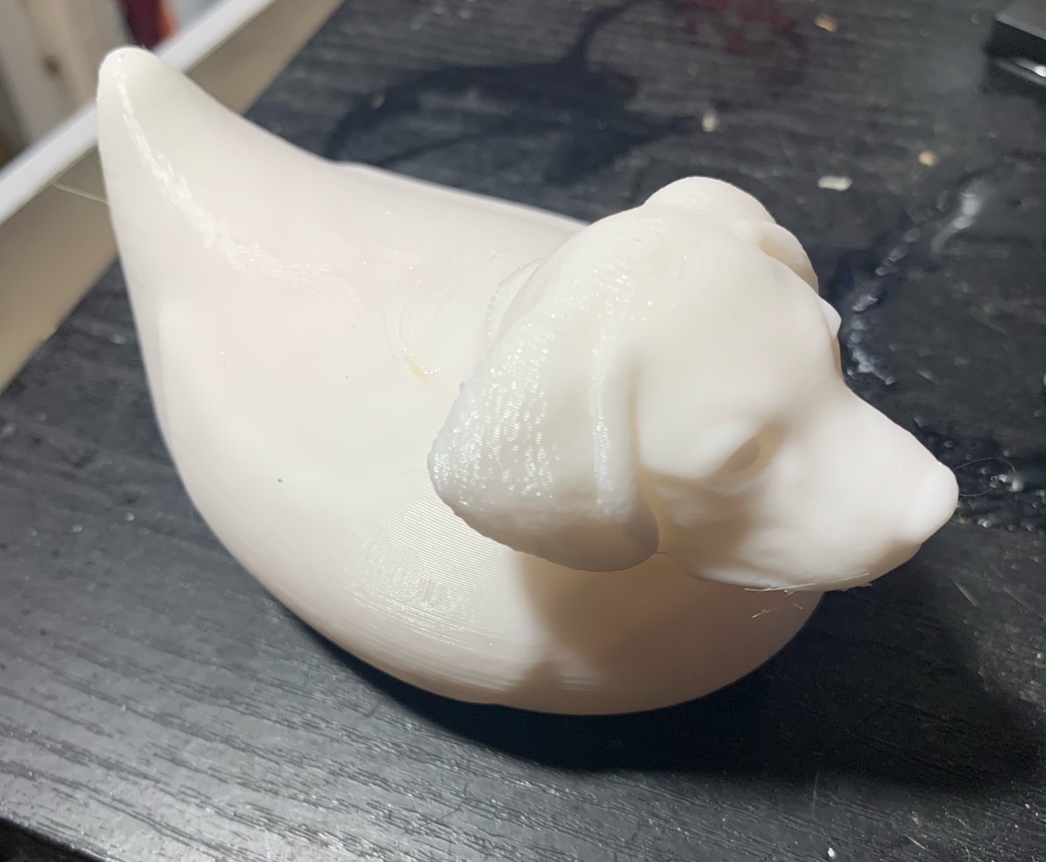 Dog Duck