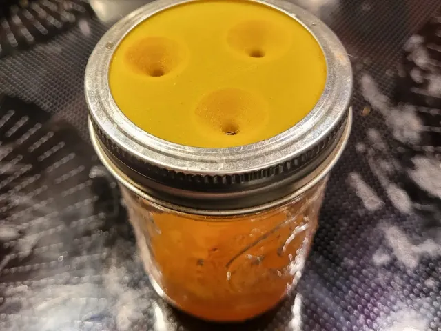 Fruit Fly Trap