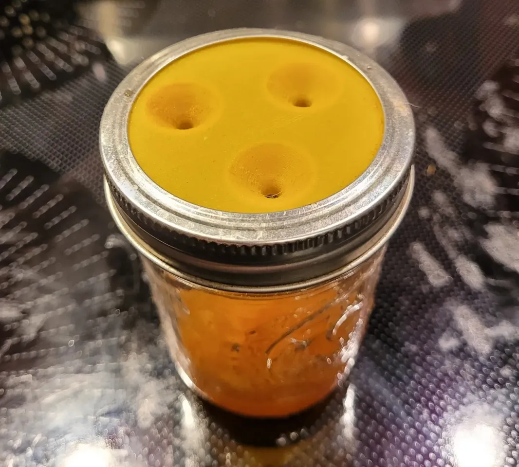 Fruit Fly Trap by grizzie17 | Download free STL model | Printables.com