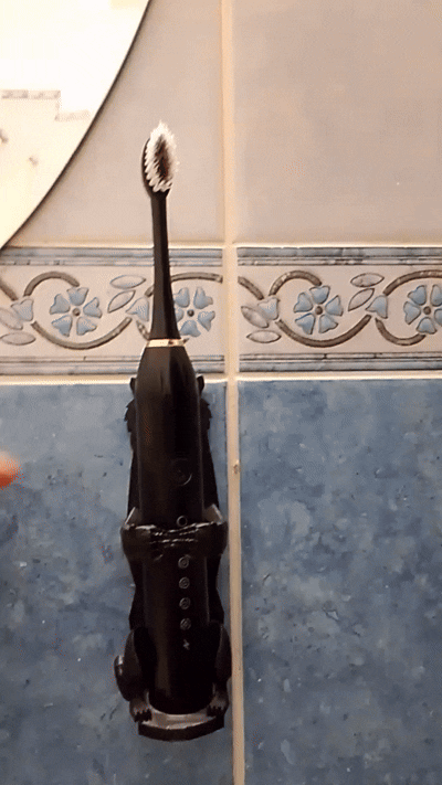 tiger brush stand stick or hang
