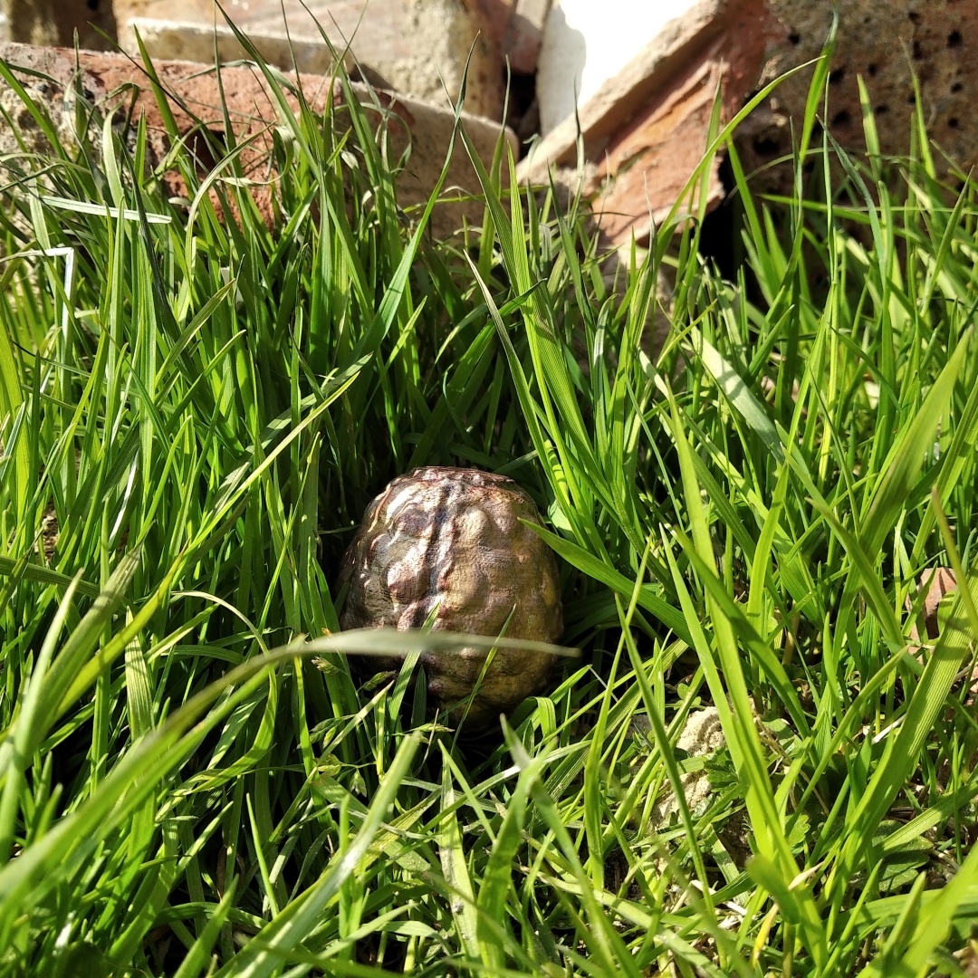 Whispering egg by A86 Download free STL model