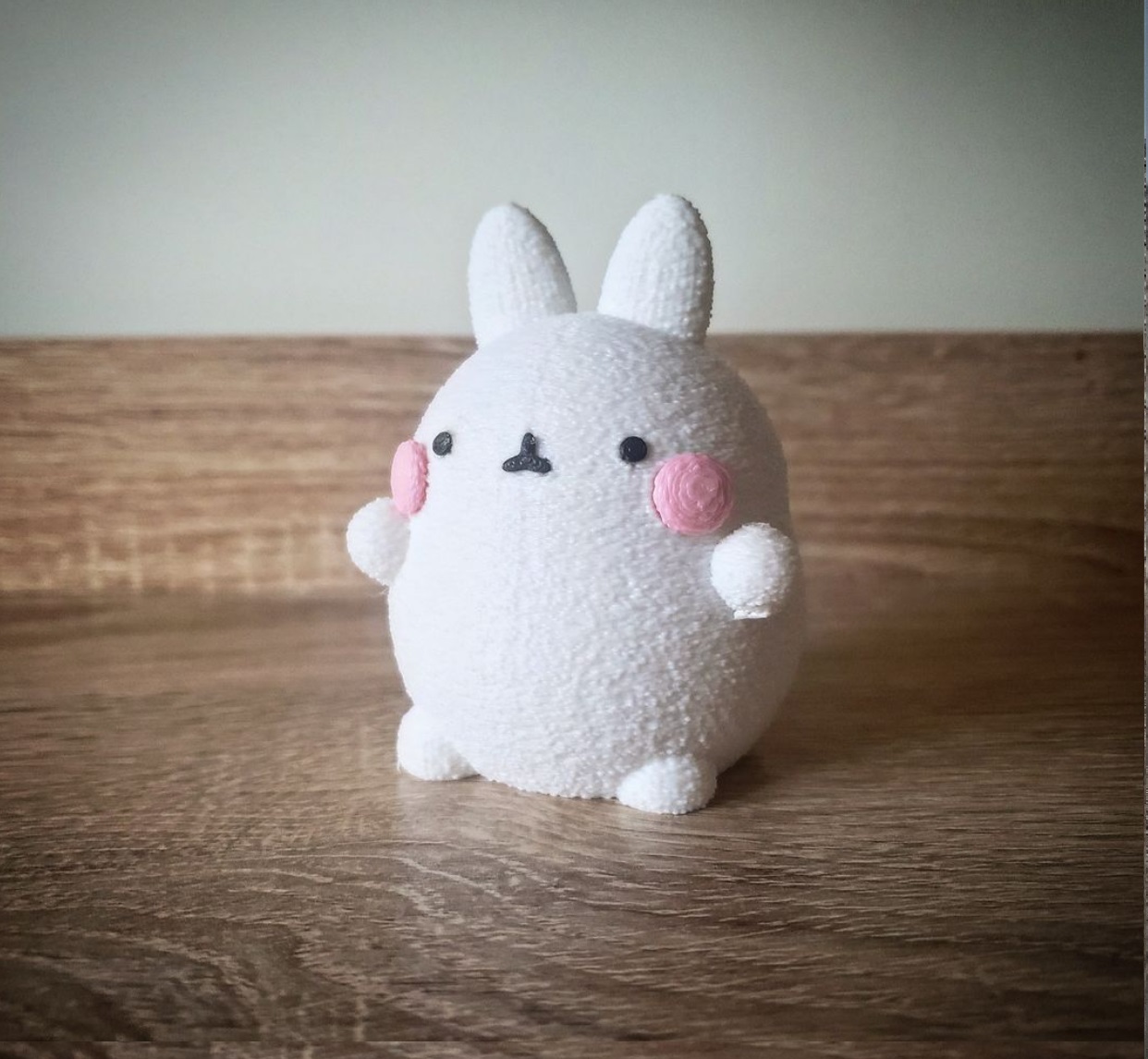 Cute chubby bunny
