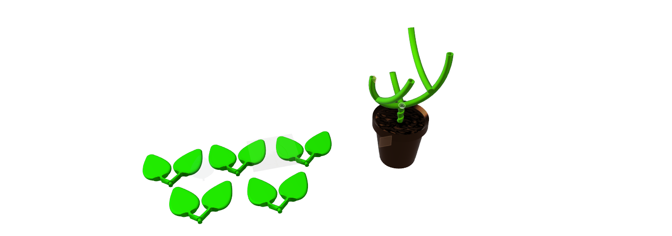 Decorative Plant