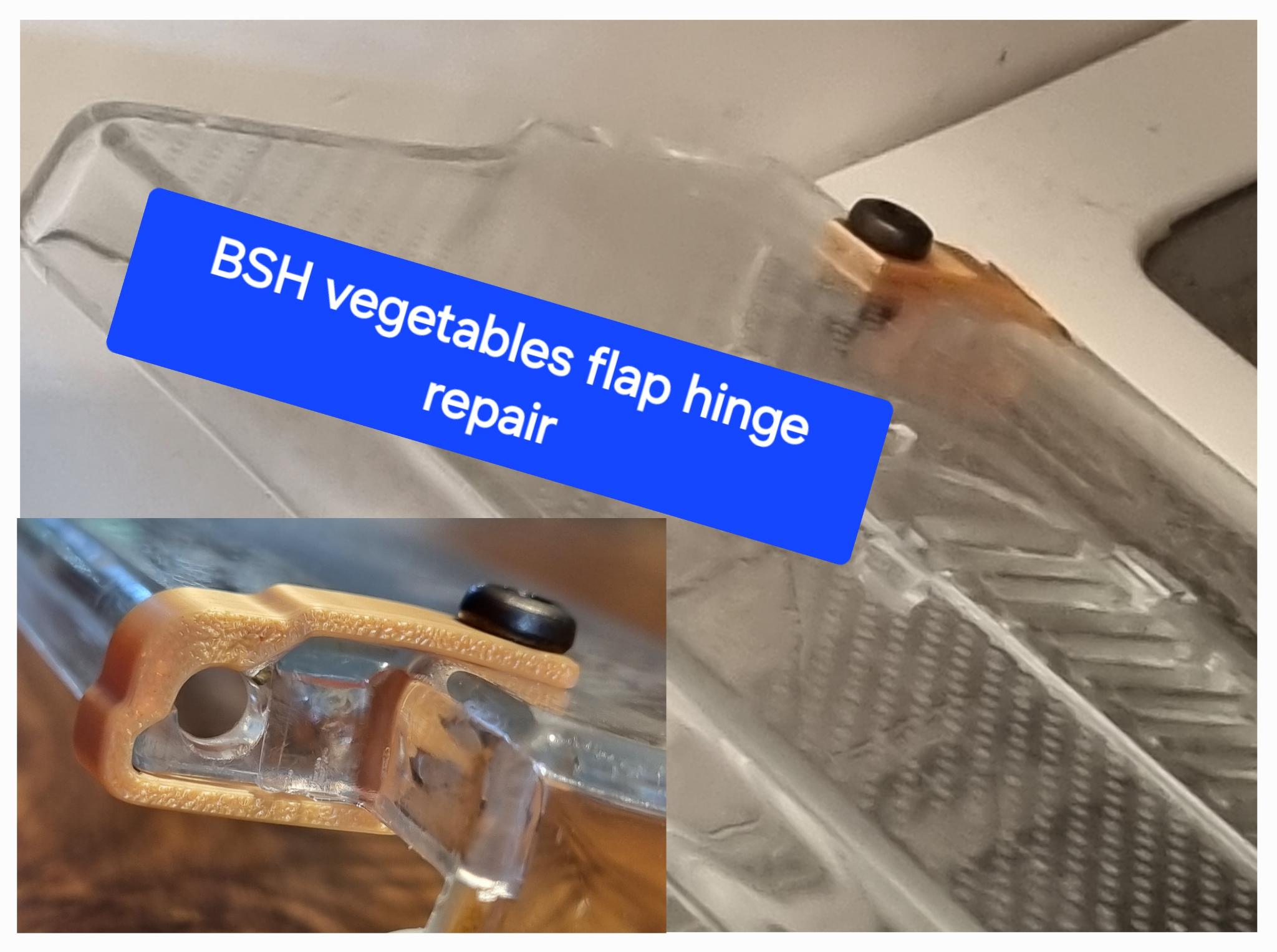 Siemens (BSH) fridge vegetables Flap hinge repair