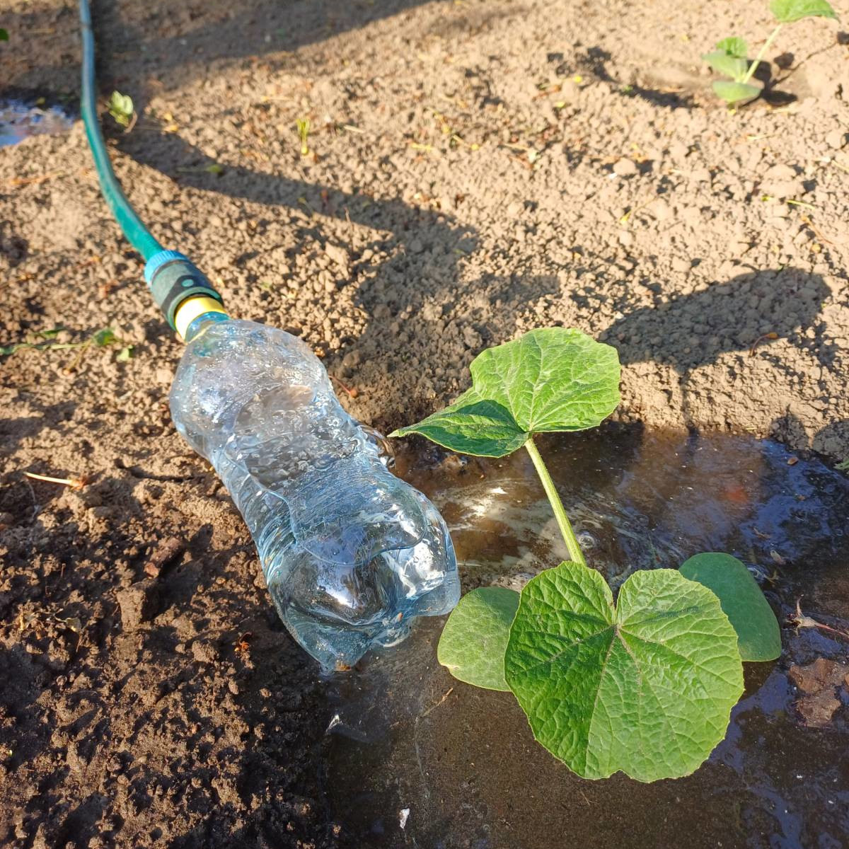 Multipurpose garden hose - PET bottle connector (anti-splash, lazy watering, water rocket, laminar flow...) — thumbnail 2