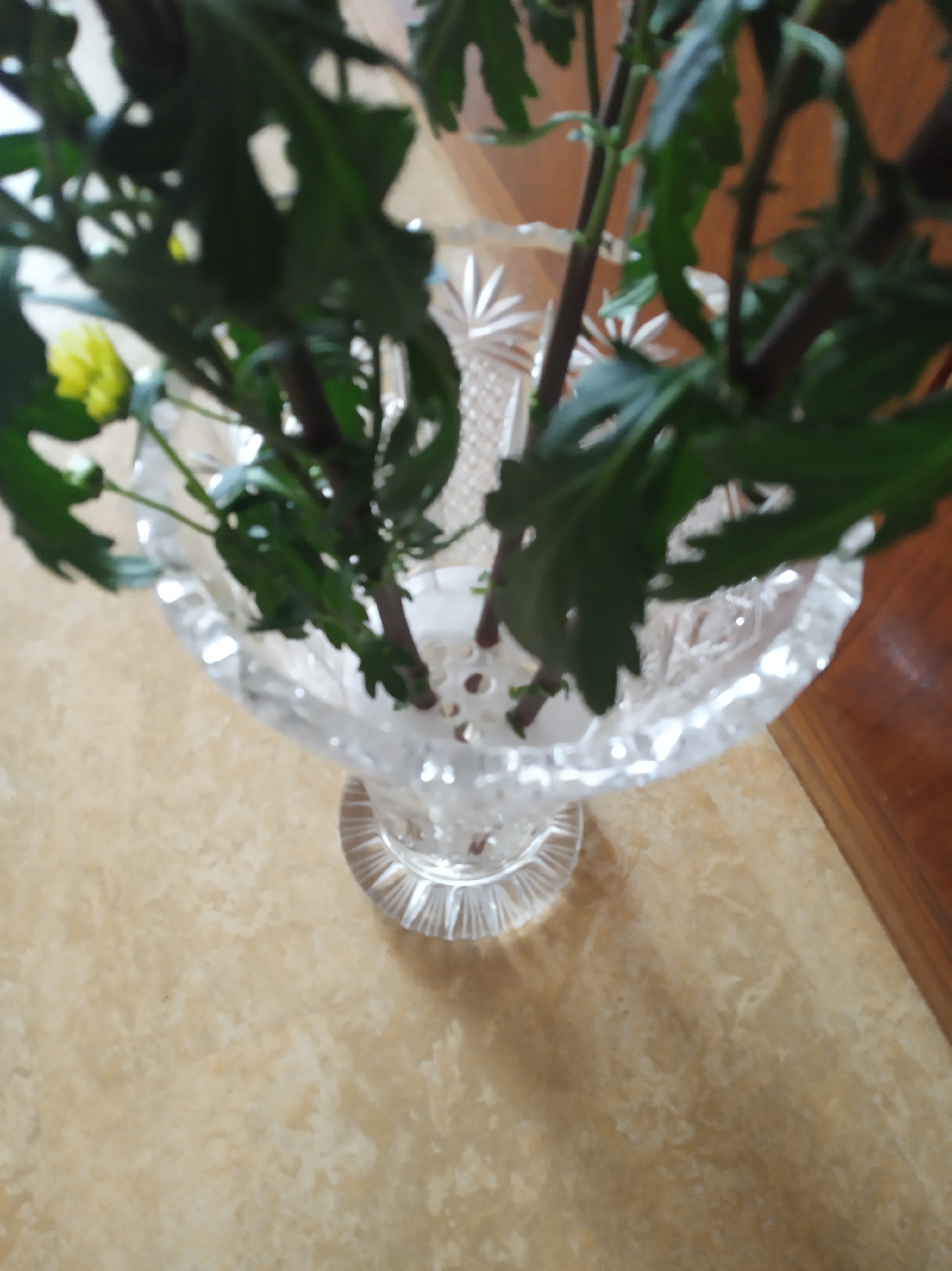 Flower vase insert - for wide round vases