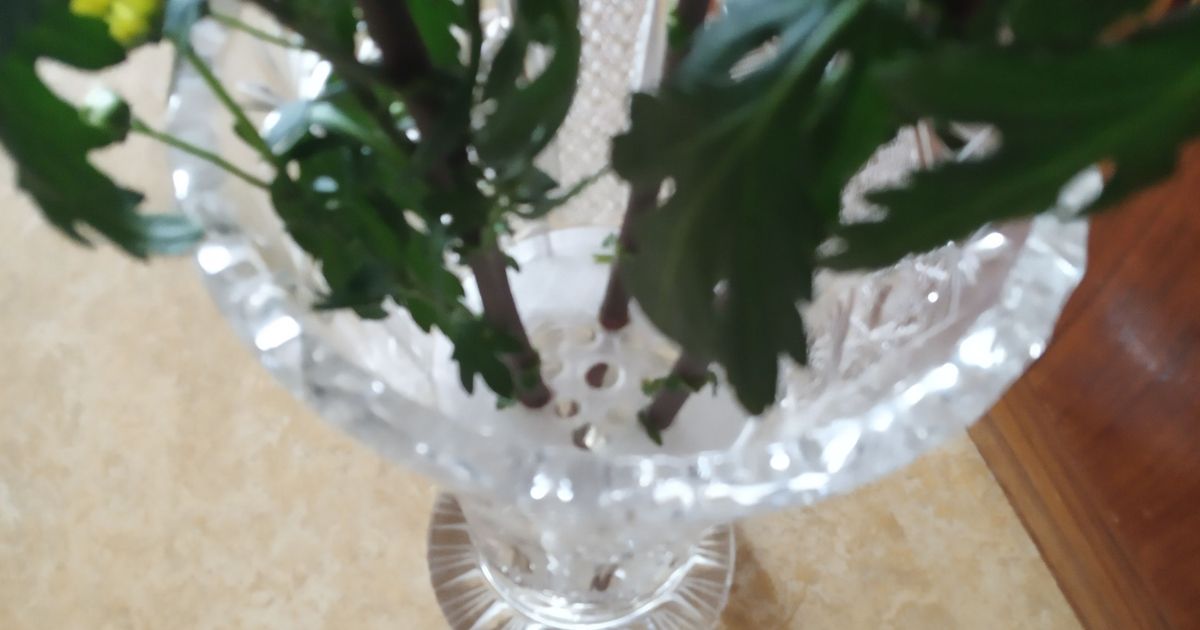 Flower vase insert for wide round vases by JiK Download free STL