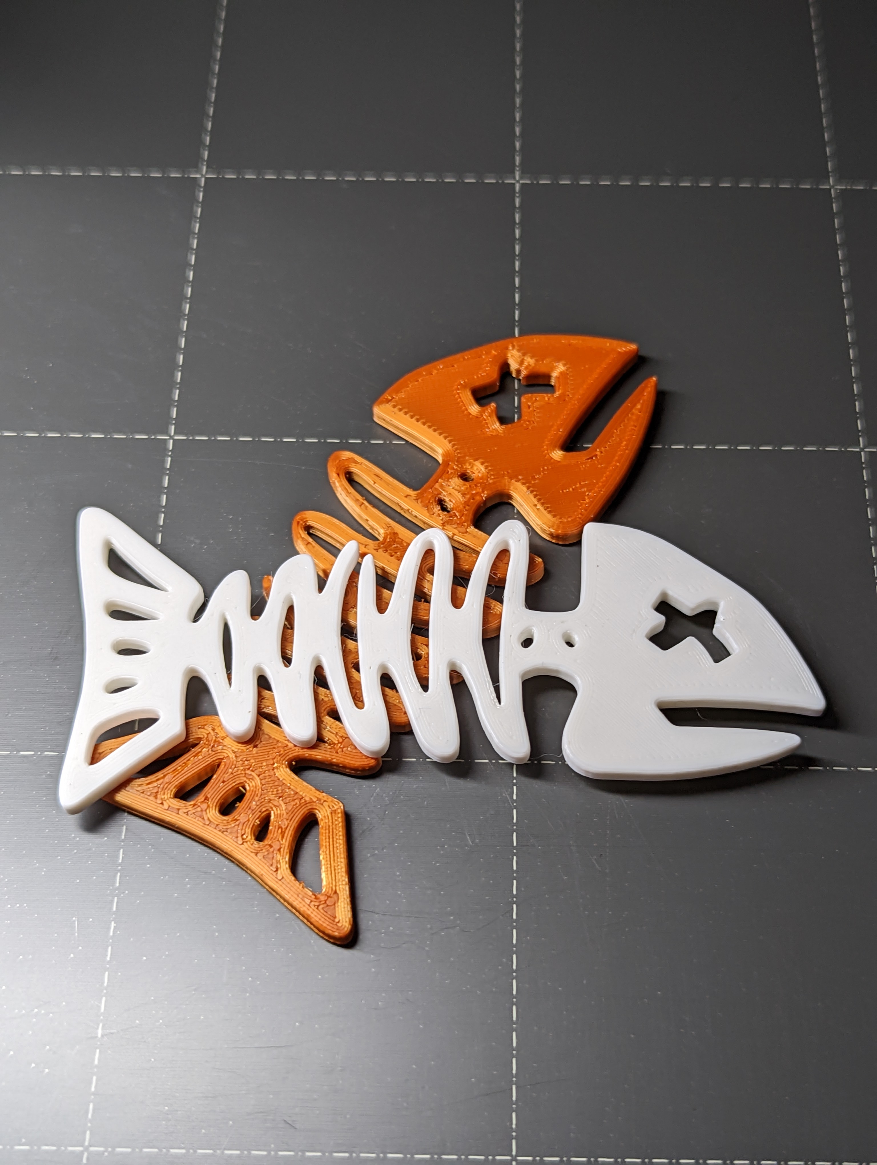 Cartoon style fish skeleton