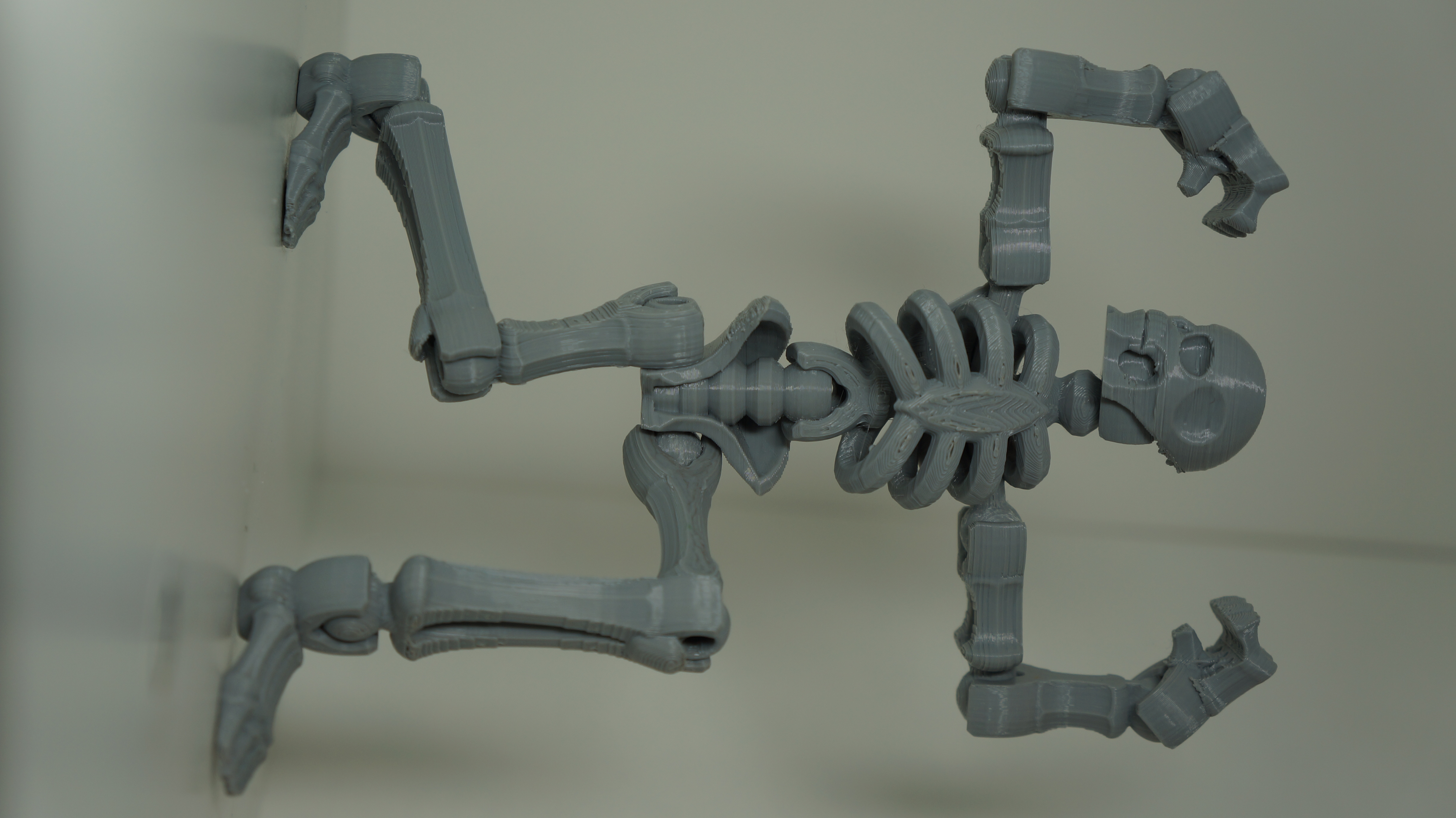 Toy Skeleton