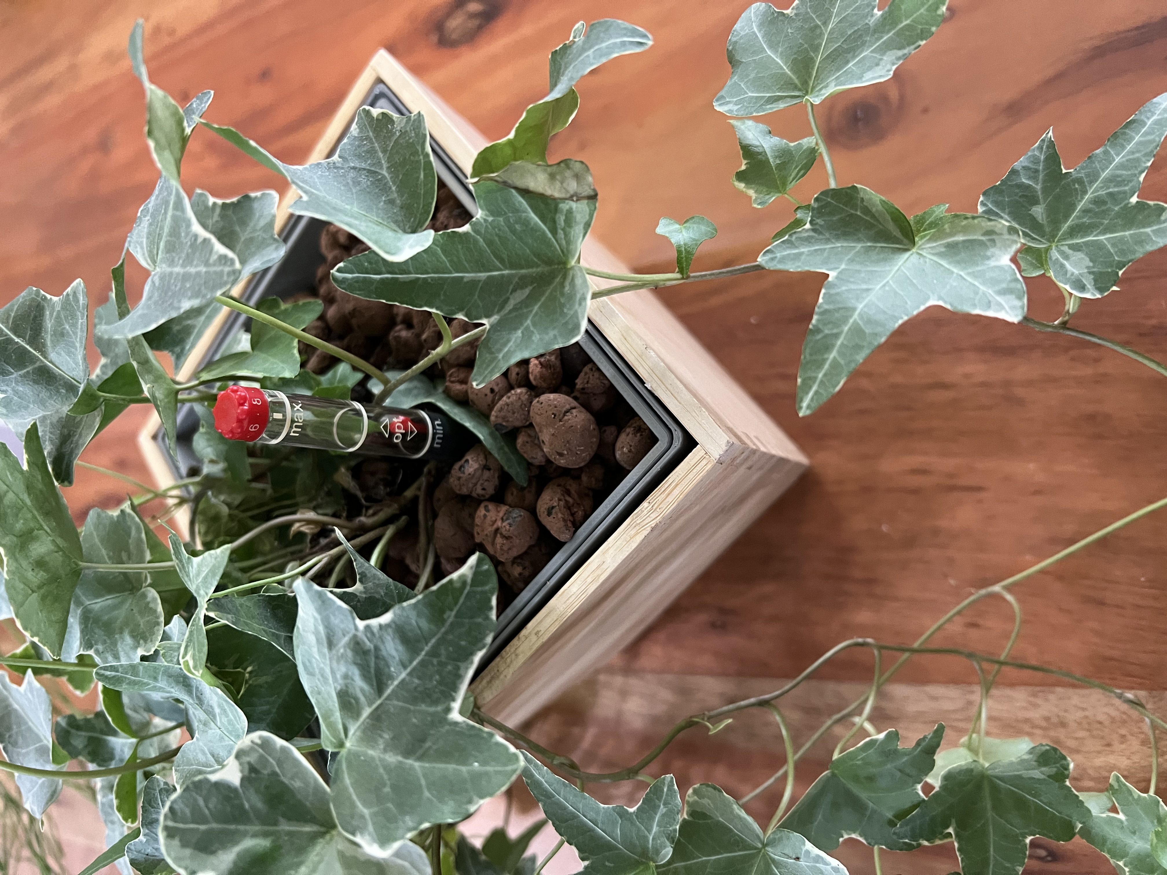 Ikea Vildapel Hydroponics Vase Insert