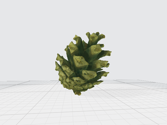 Pine Cone 3D Scan