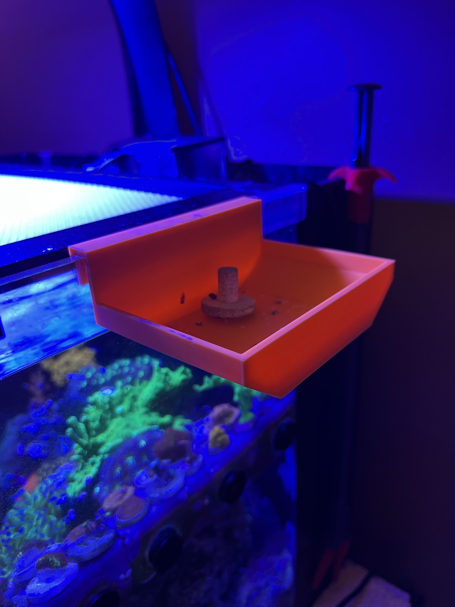 Aquarium Tray