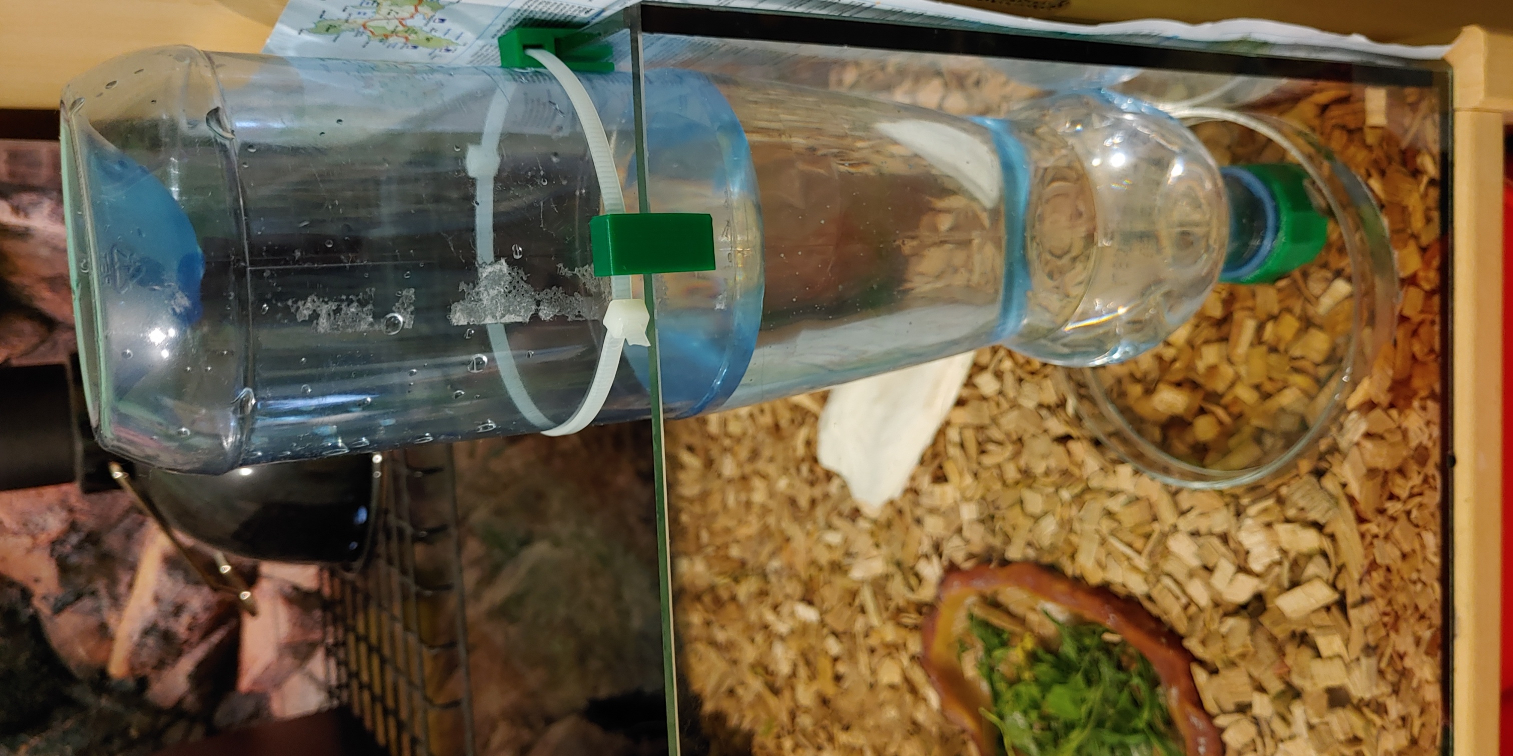 Terrarium water tank