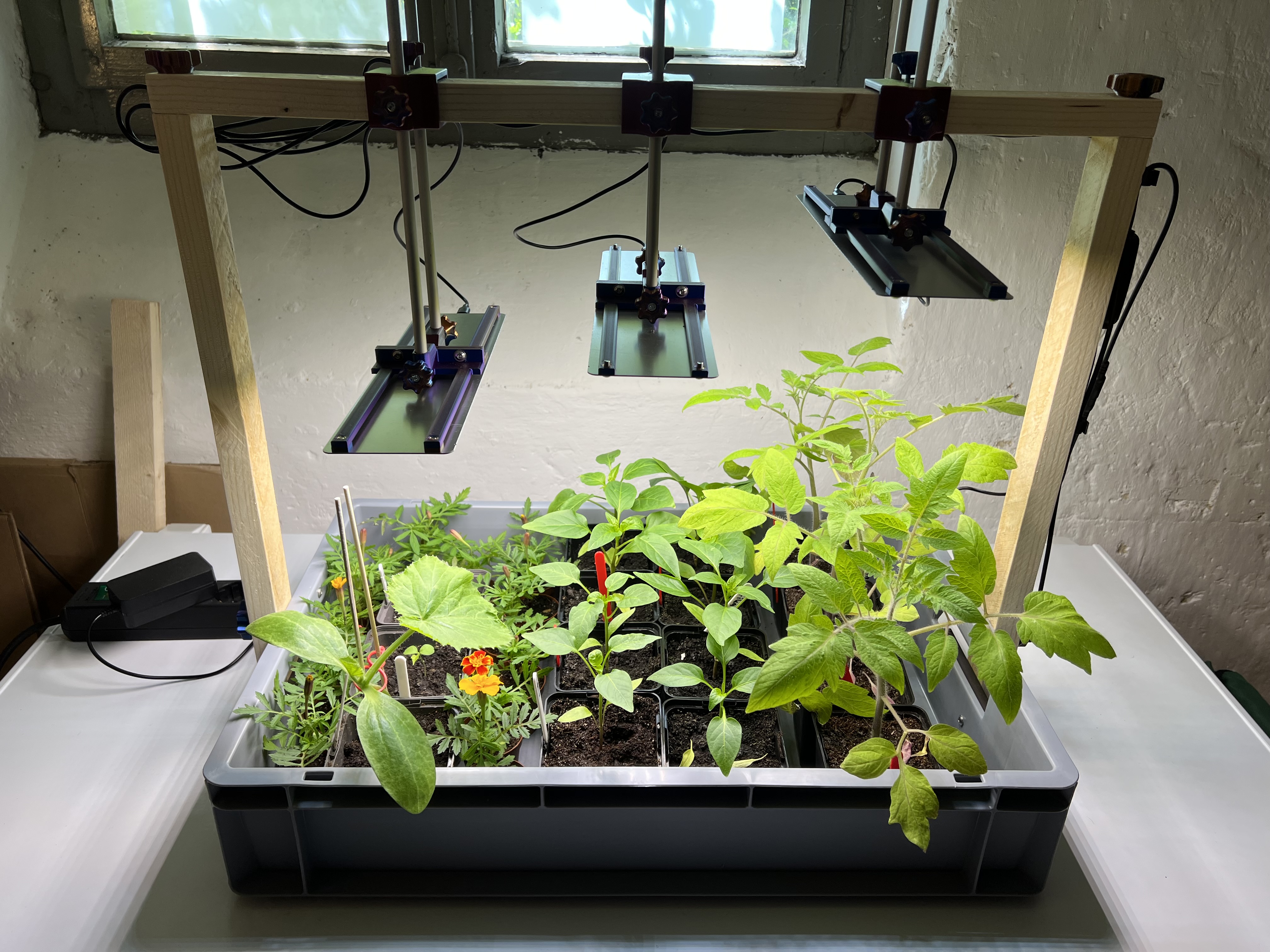 Plant grow box portable and space-saving dismountable