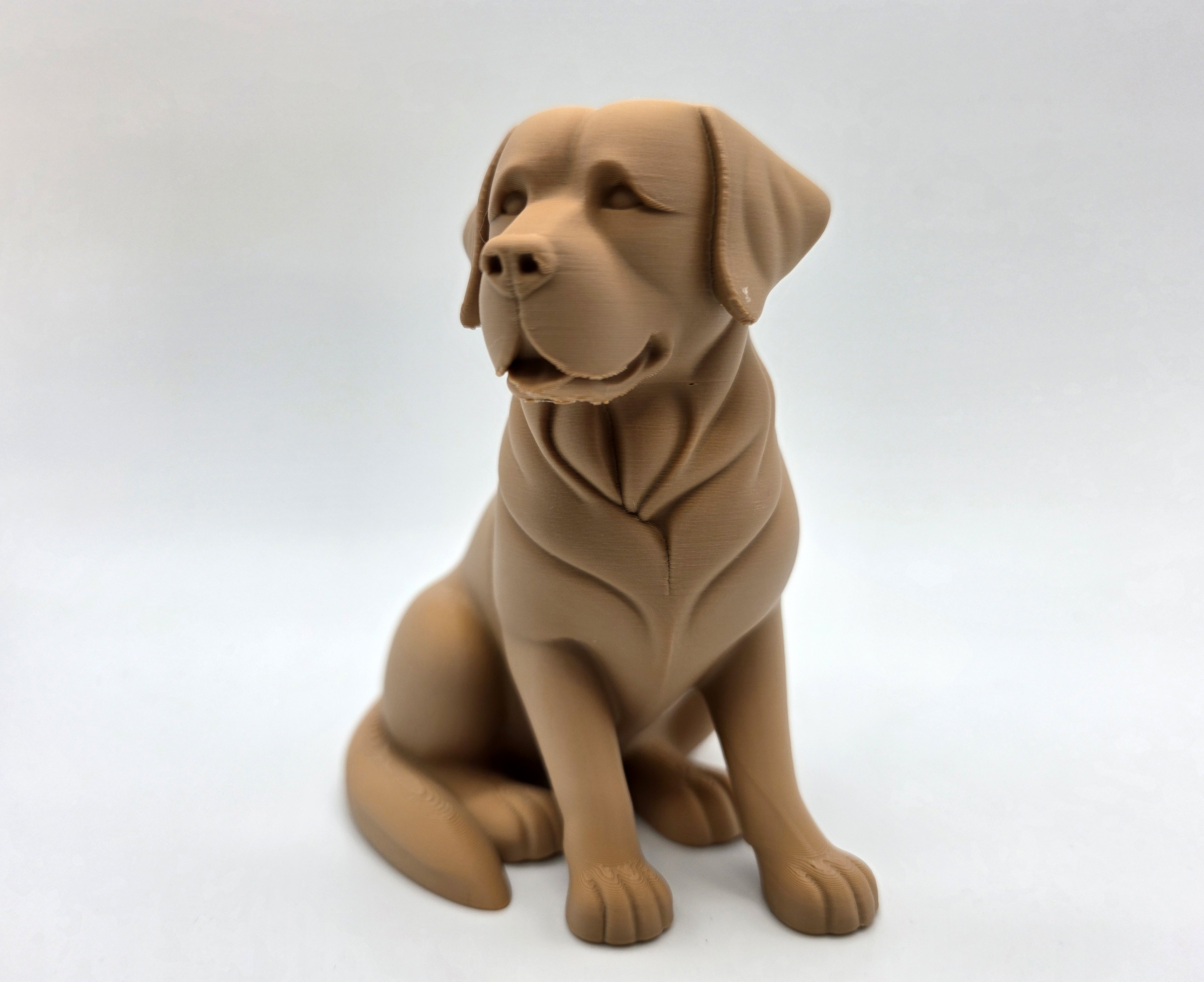 Seated Labrador Retriever Puppy — miniatura 5