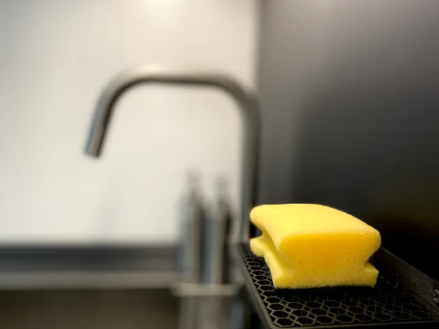 Sponge Holder